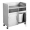 FED Stainless Steel Double Bin Mobile Station - MBS118
